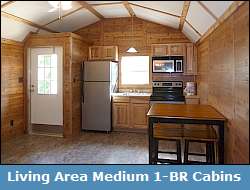 Lake Livingston Cabin Rentals